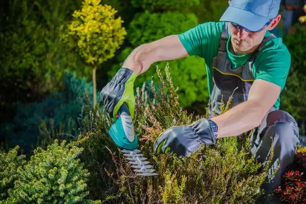 landscaping services East Meadow